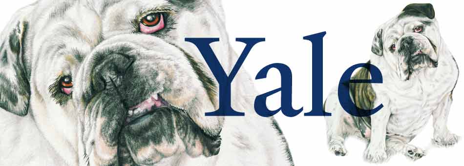 CBCCollection-Yale Bulldog Handsome Dan