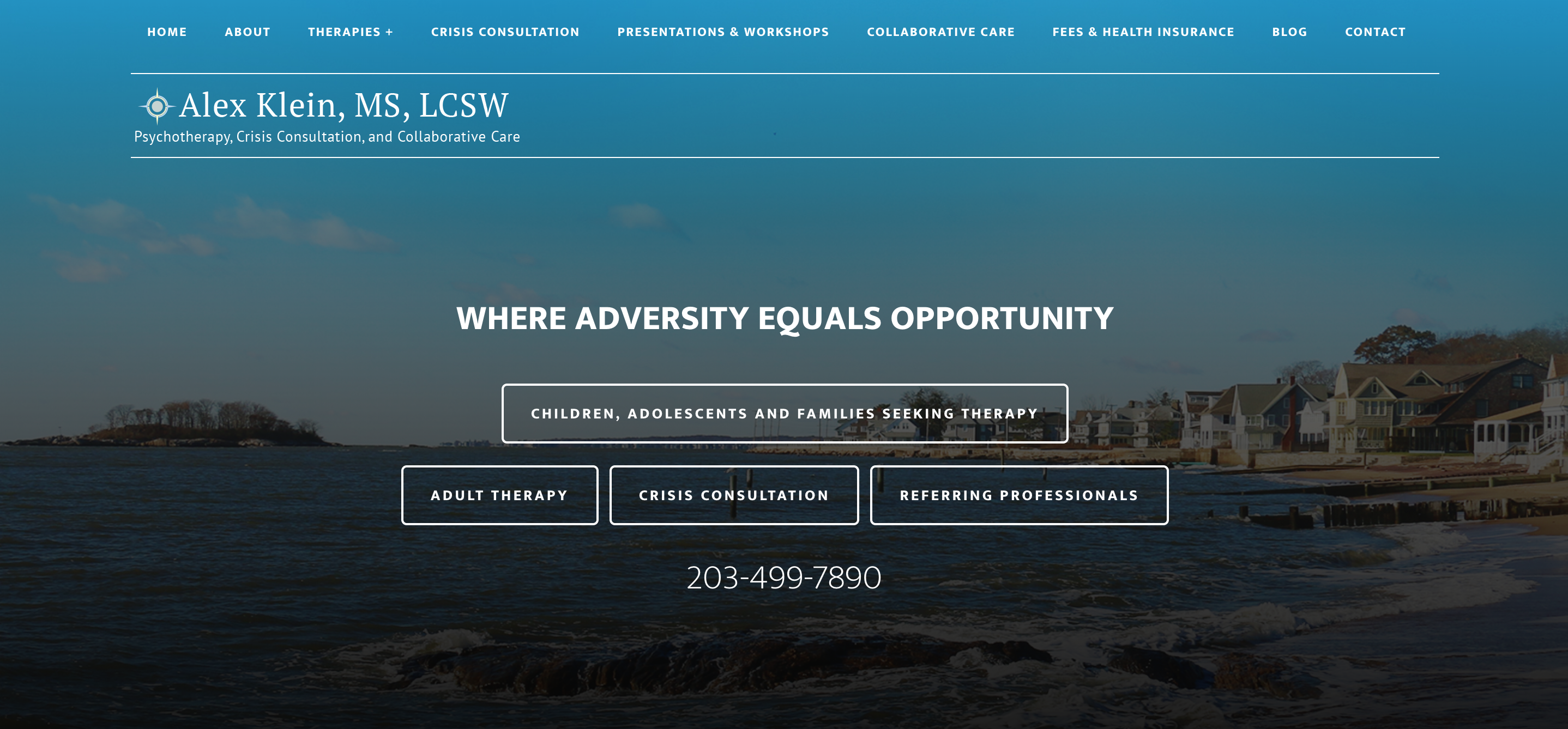 Screenshot of the homepage for Alex Klein Therapy